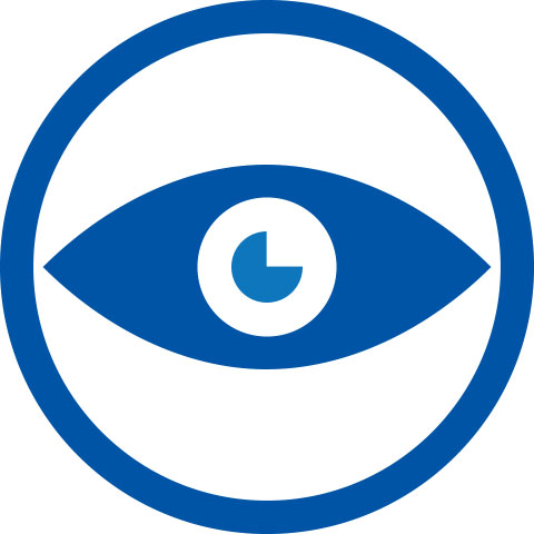 tsg_icon_vision